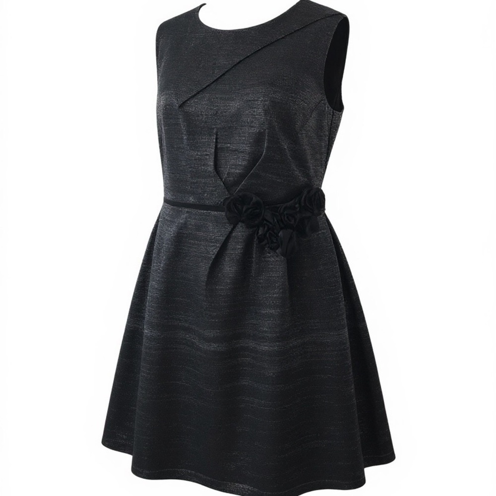 Plus Size David Meister Dress